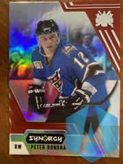 2020-21 UD Synergy #74 Retro Peter Bondra